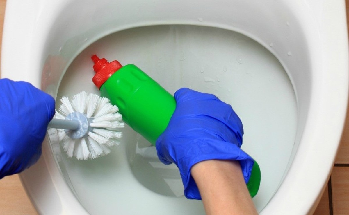 تمیز کردن توالت - از بین بردن مگس فاضلاب