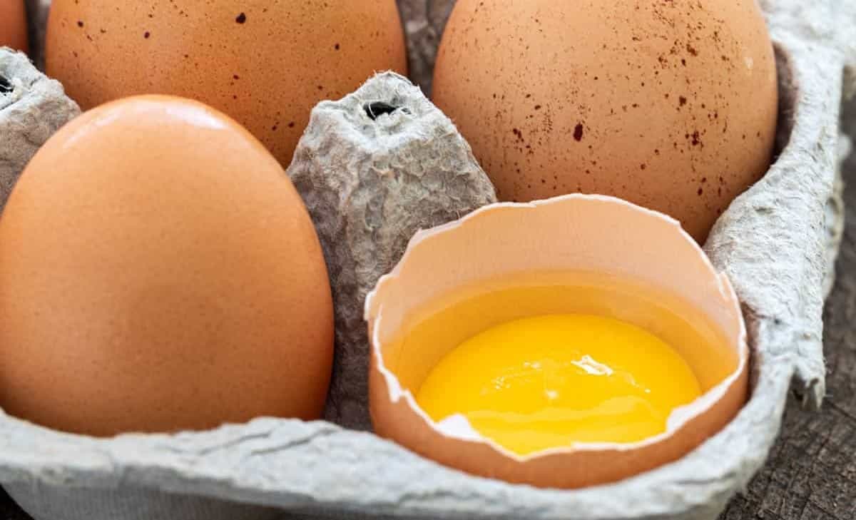 تخم مرغ سالم - تشخیص تخم مرغ فاسد