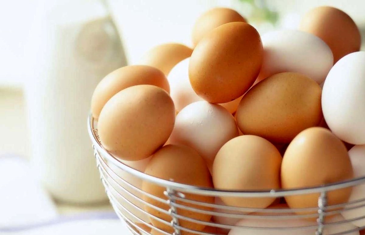 تخم مرغ - تشخیص تخم مرغ فاسد