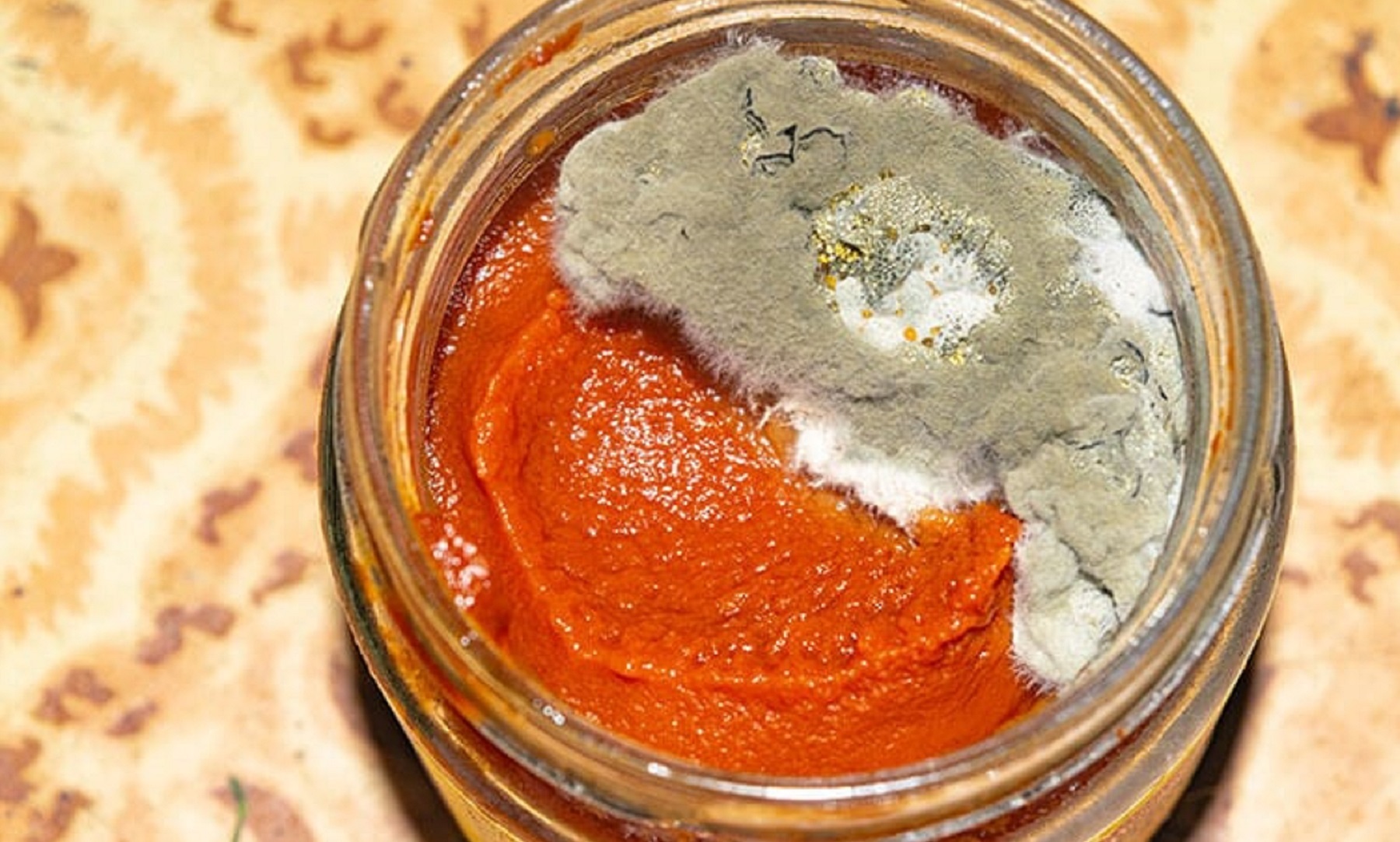 نگهداری از رب گوجه - جلوگیری از کپک زدن رب