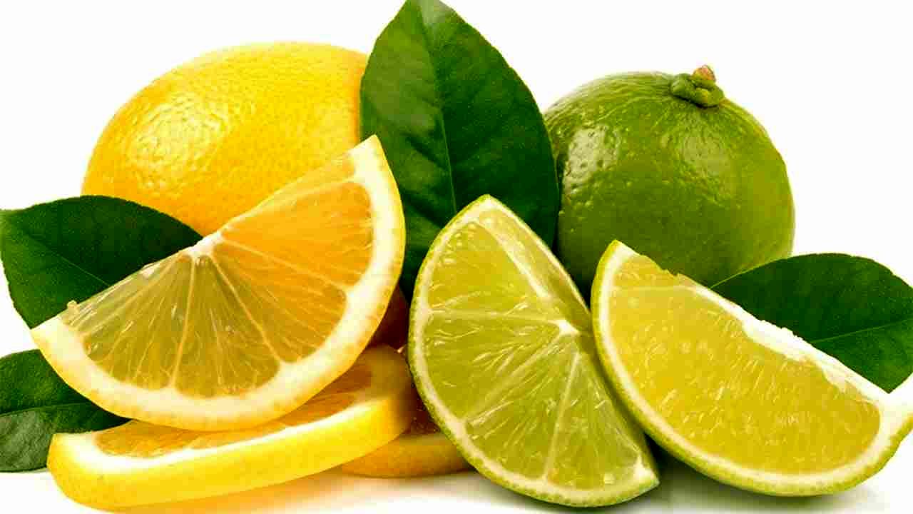 نگهداری لیمو ترش - لیمو زرد