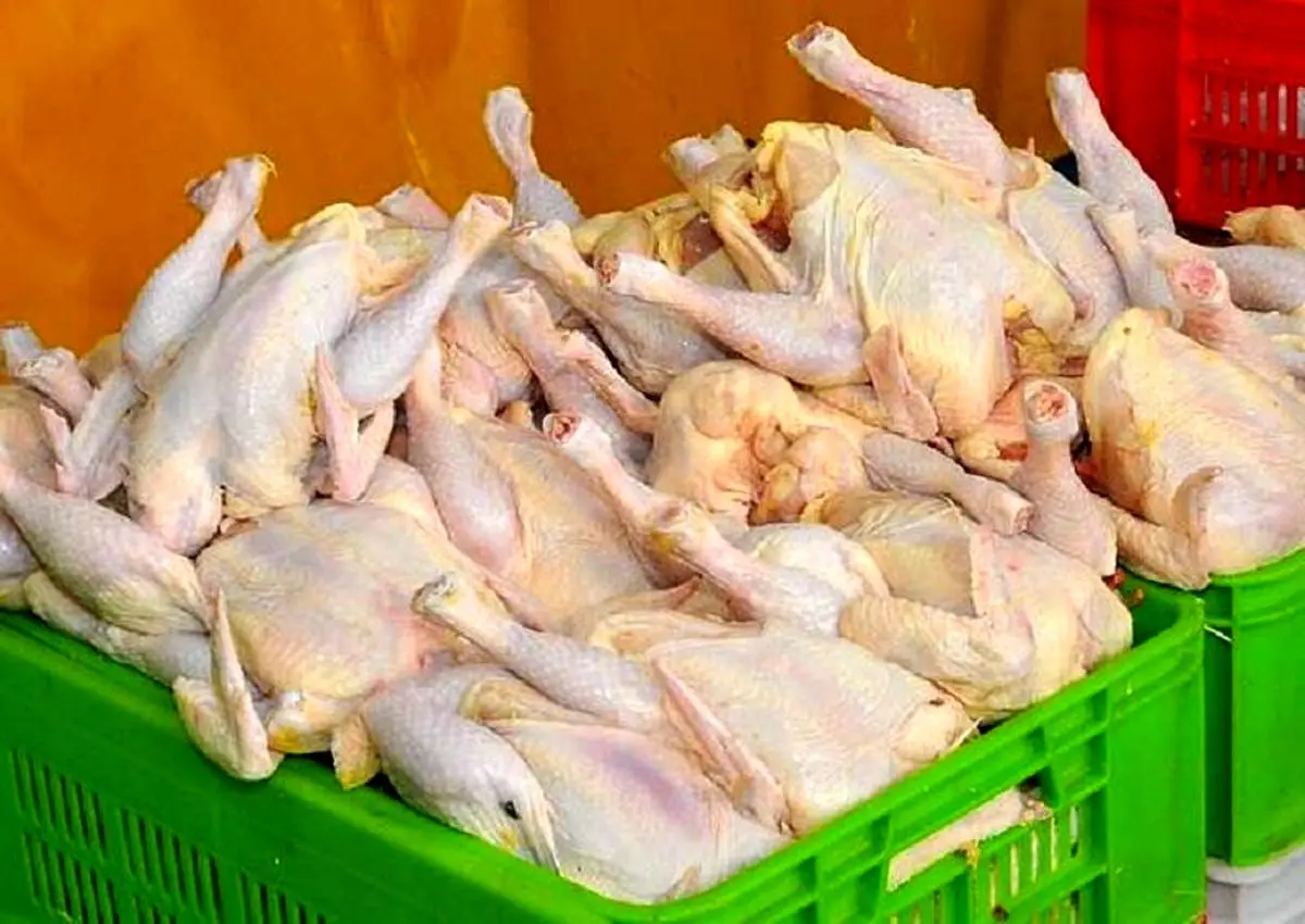 تشخیص مرغ سالم - سبد مرغ