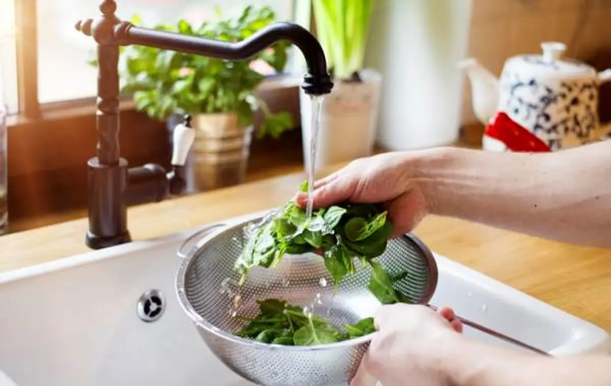 نگهداری سبزی خوردن - شستن سبزی