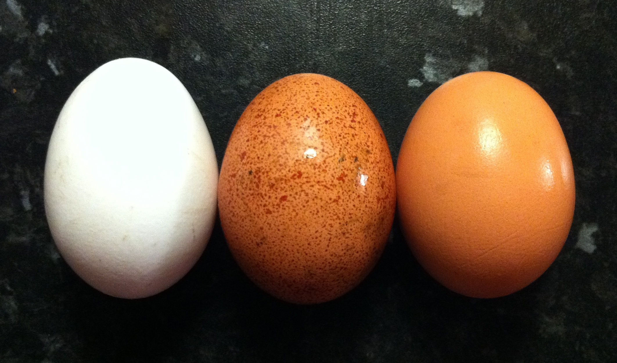 تخم مرغ سالم و خراب - تخم مرغ سفید