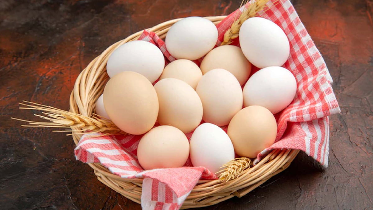 تخم مرغ سالم و خراب - دستمال پارچه ای