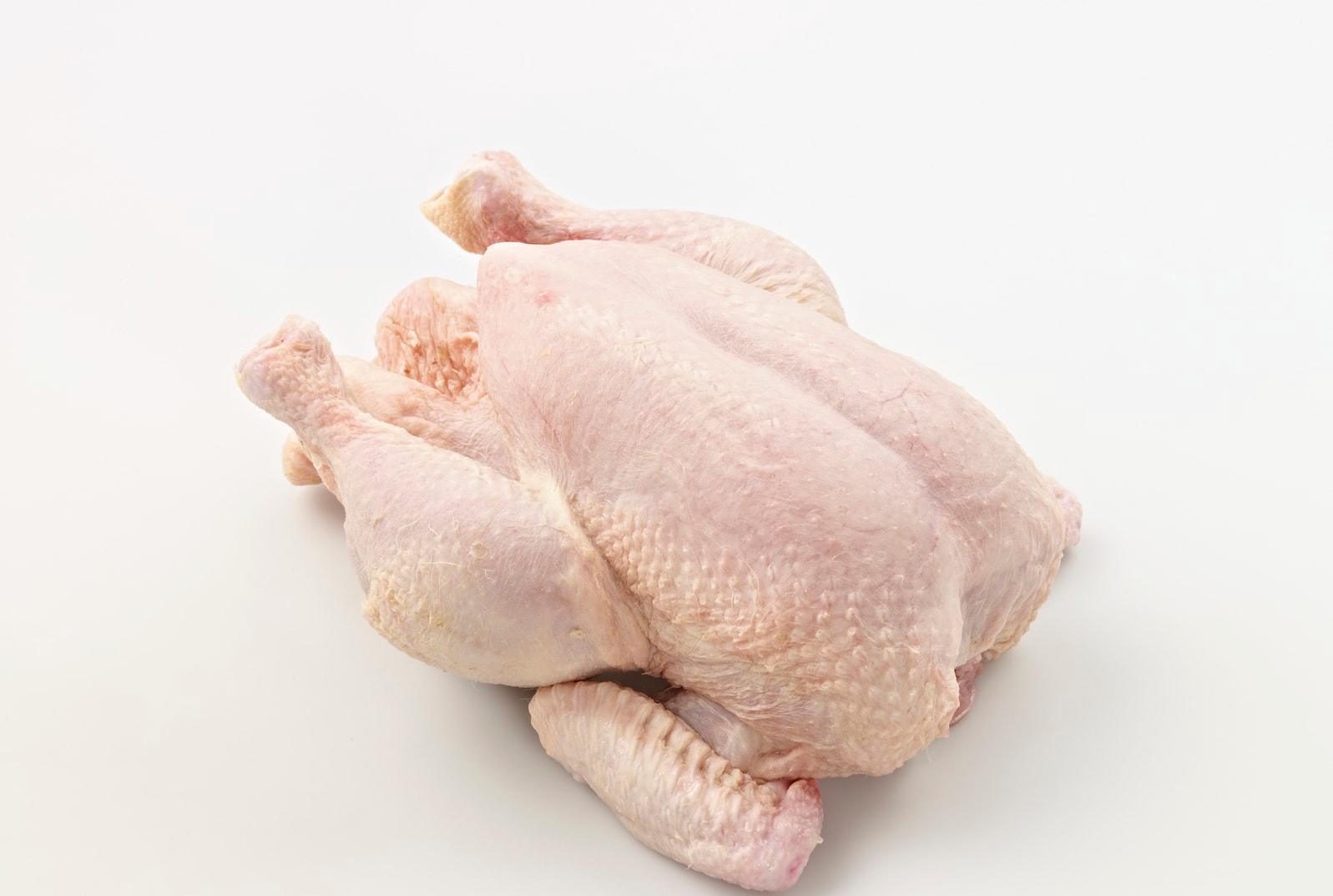 تشخیص مرغ سالم = مرغ