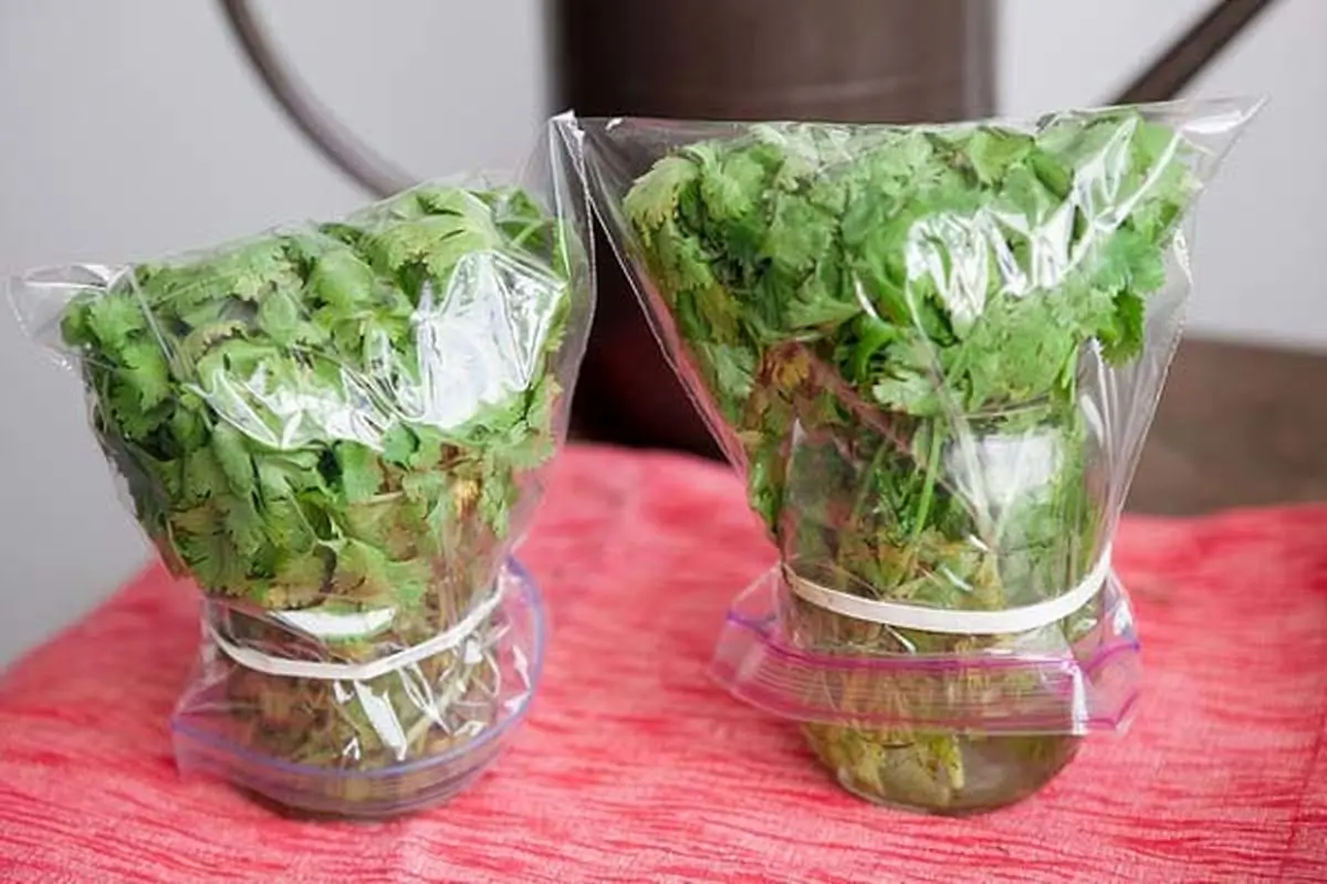 نگهداری سبزی خوردن - کیسه پلاستیکی