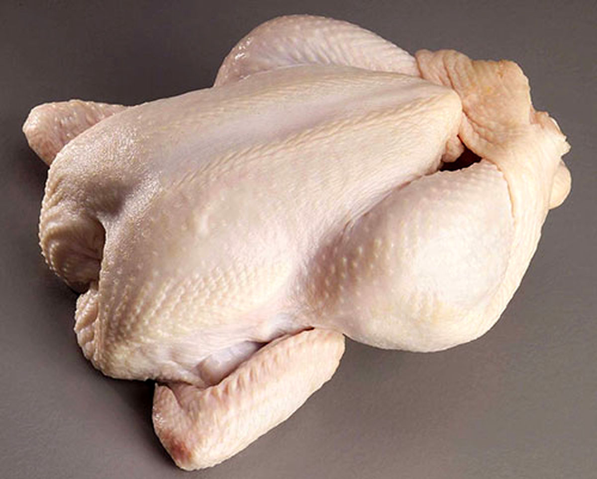 تشخیص مرغ سالم - مرغ با پوست