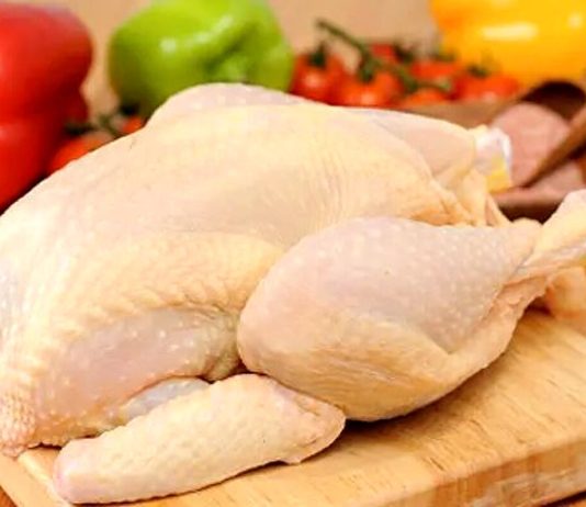 تشخیص مرغ سالم