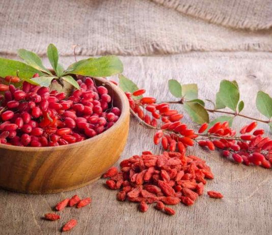 خشک کردن زرشک تازه