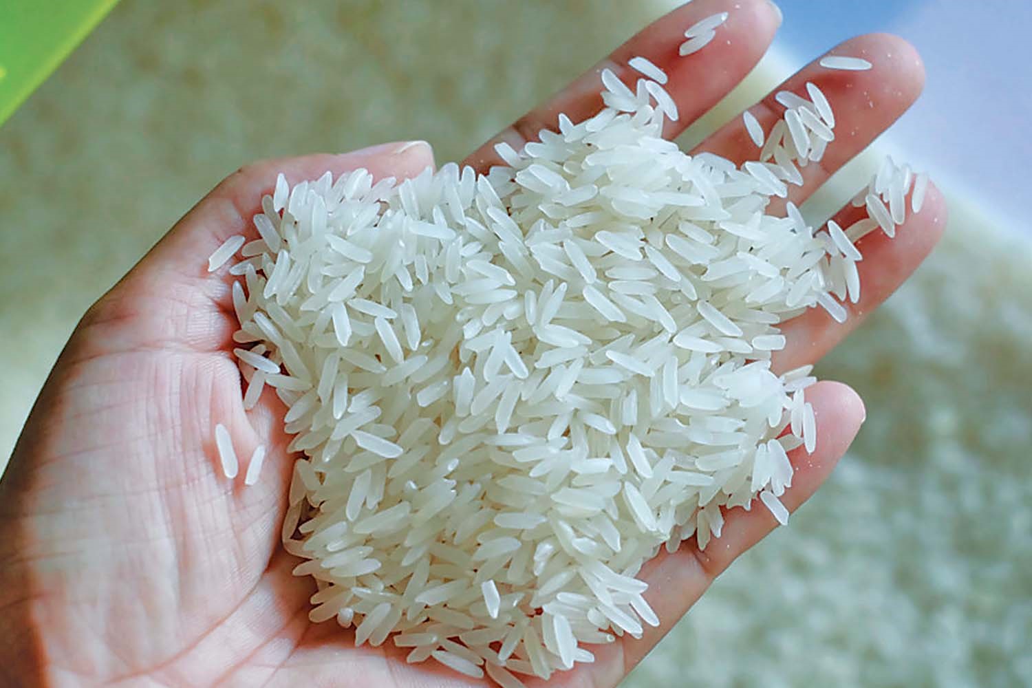 برنج هندی و پاکستانی - دانه برنج