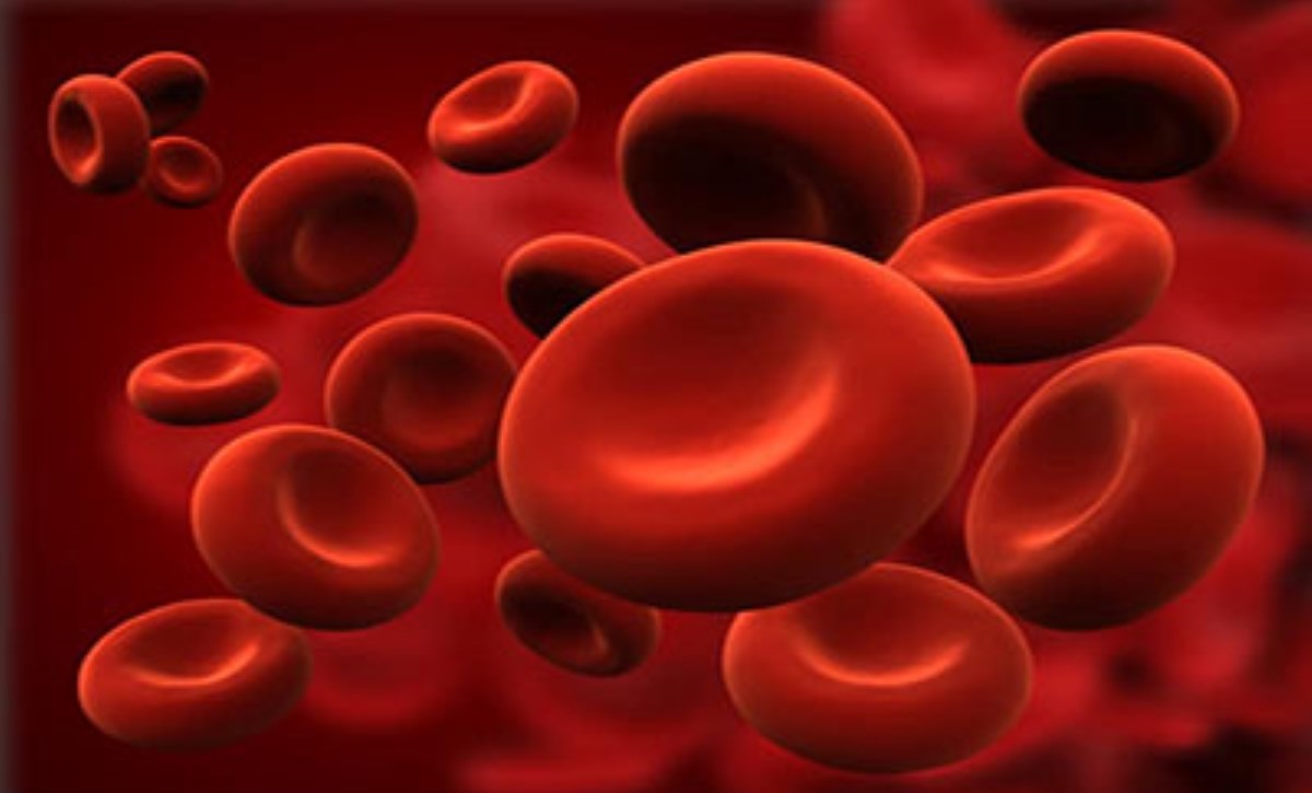 گروه خونی - تشخیص گروه خونی