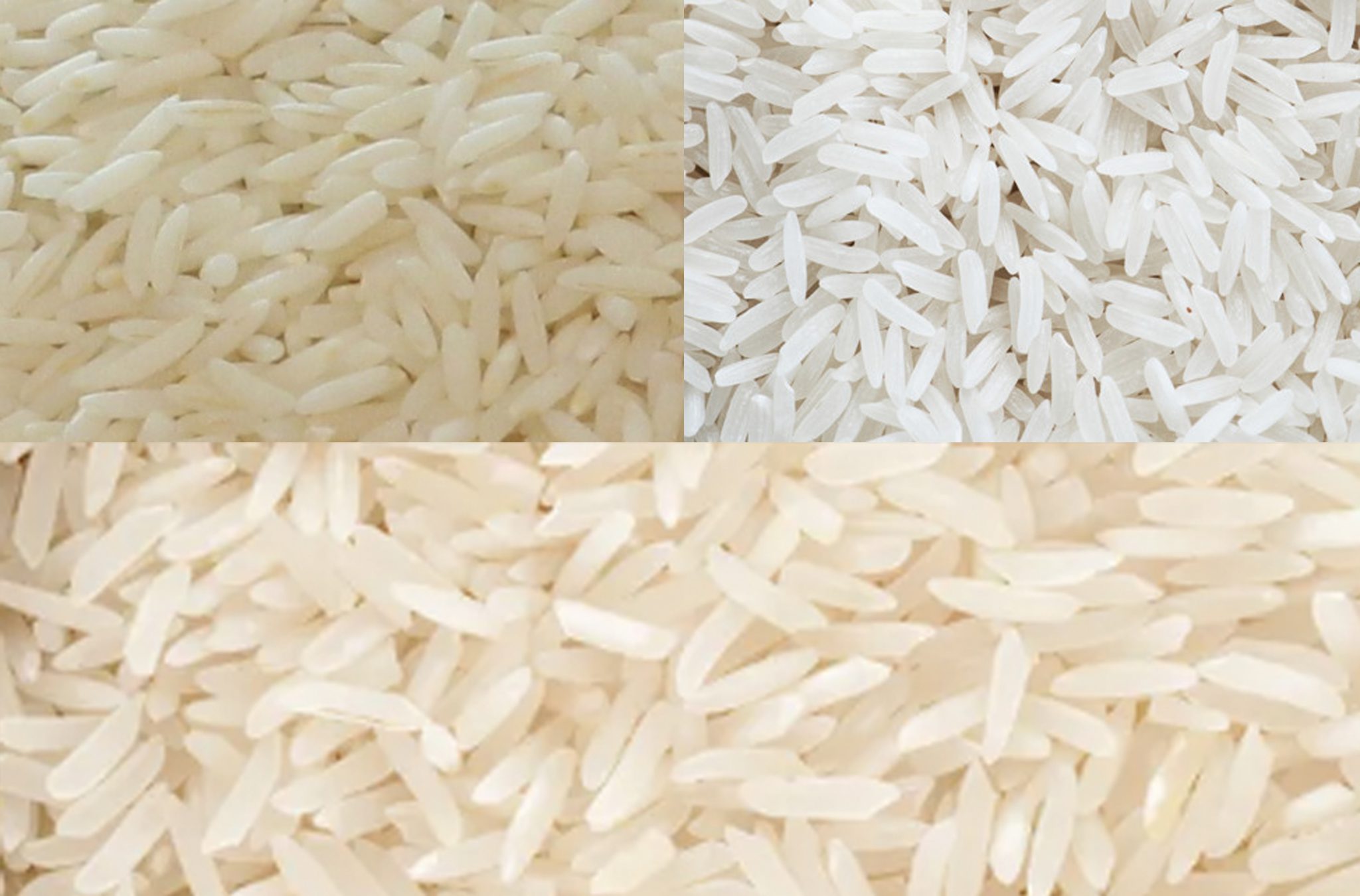 برنج هندی و پاکستانی - برنج