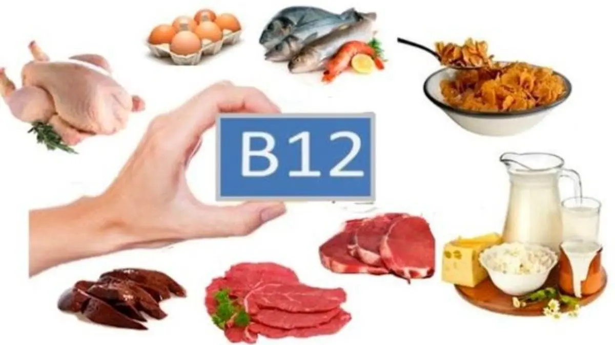 خواص ویتامین b12 - مرغ