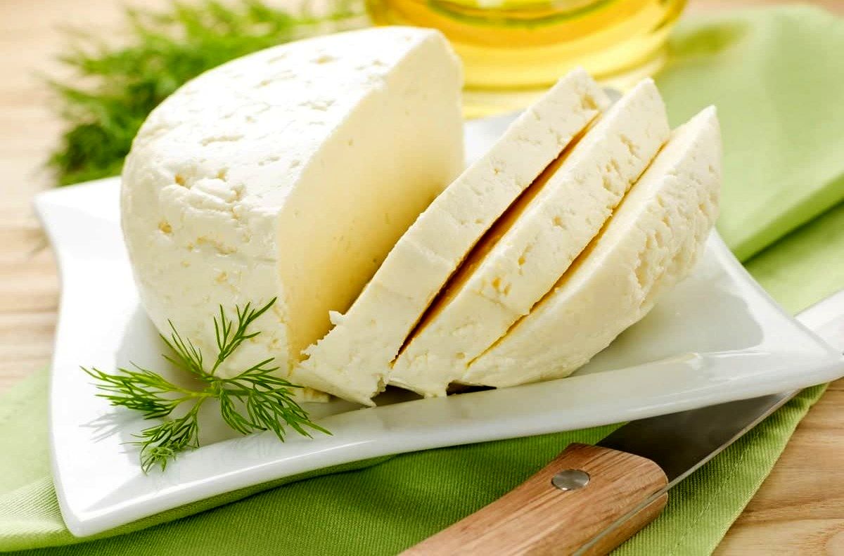 طرز تهیه پنیر خانگی - شوید