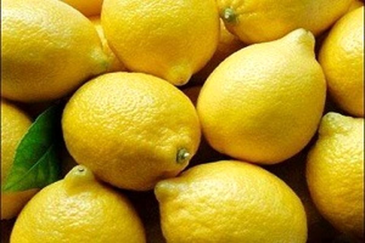 لیموی یخ زده - لیمو