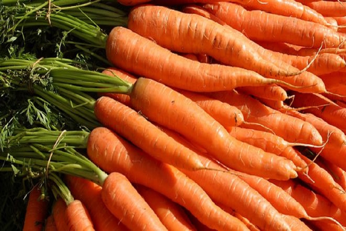 خواص هویج - هویج