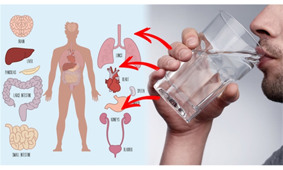 فواید نوشیدن آب گرم - سلامتی