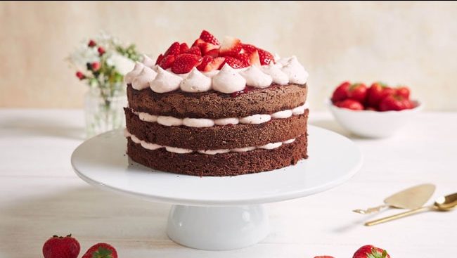 کیک شکلاتی رژیمی - توت فرنگی