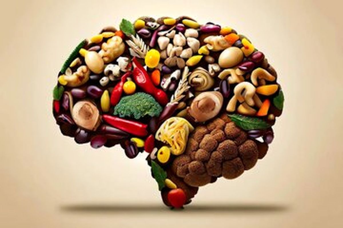 خوراکی برای تقویت حافظه - مغز