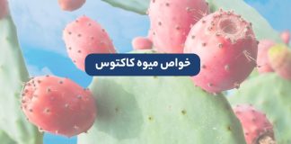 خواص میوه کاکتوس