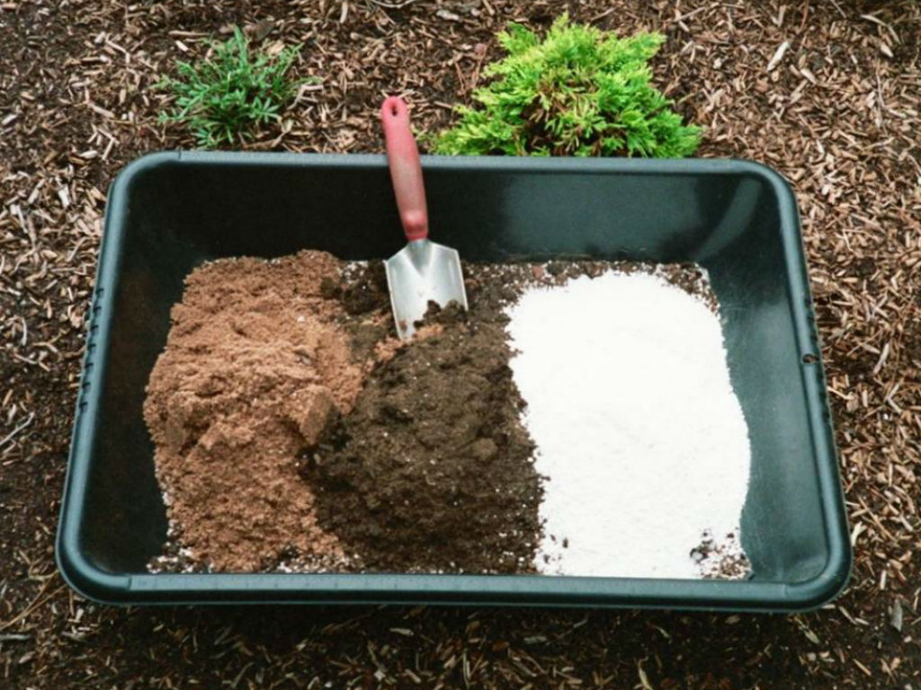 تقویت خاک گلدان - بیلچه