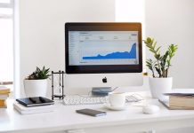 نکات مهم در انتخاب سئوکار حرفه ای