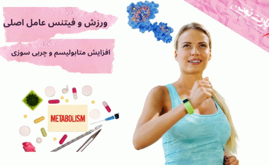تمرینات فیتنس بر افزایش متابولیسم و چربی‌سوزی