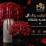 بهترین ترکیب رنگ گل برای هدیه عاشقانه چیست؟