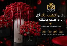 بهترین ترکیب رنگ گل برای هدیه عاشقانه چیست؟
